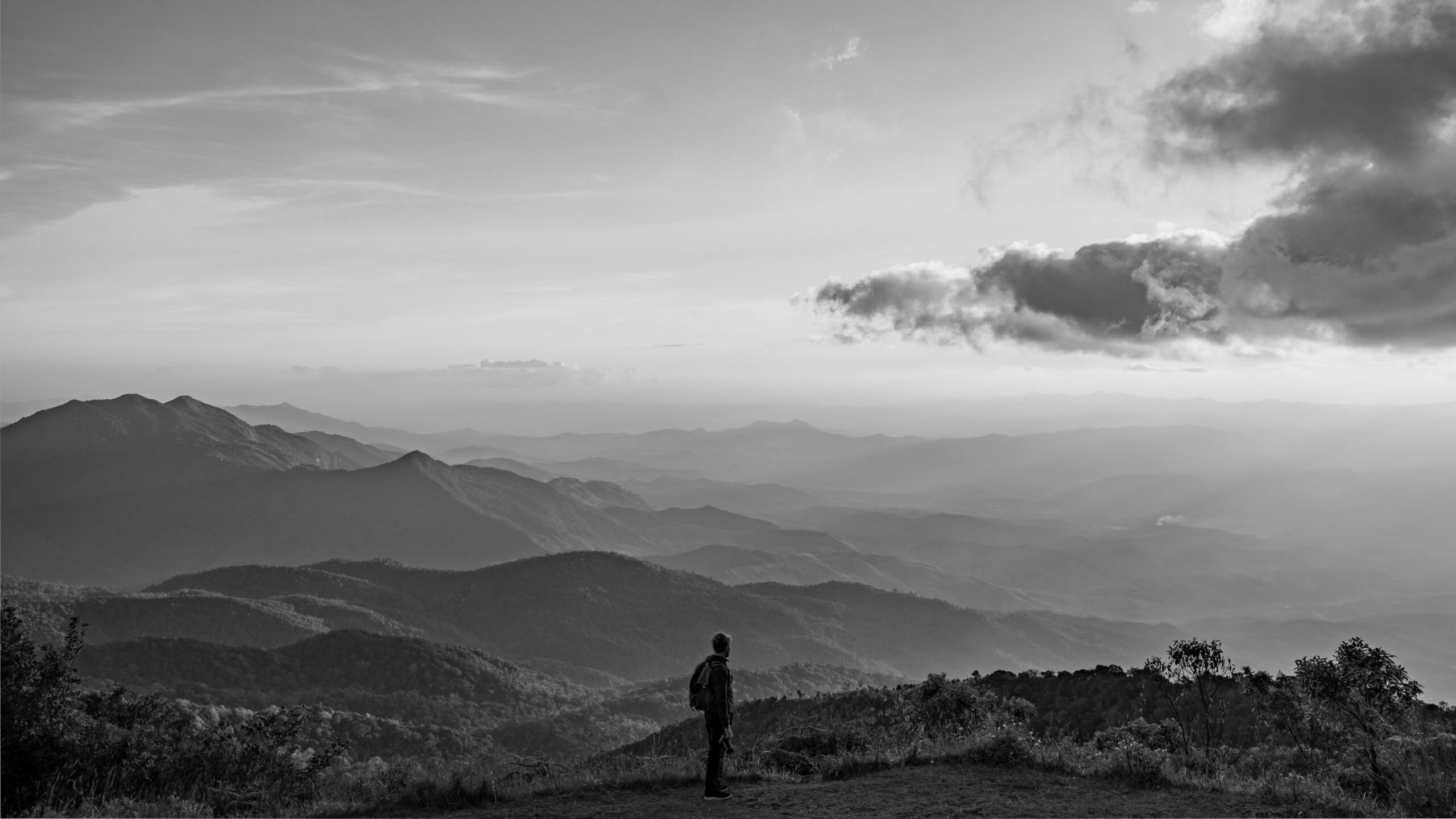 Explore The Performance Mindset Coaching Options For Growth